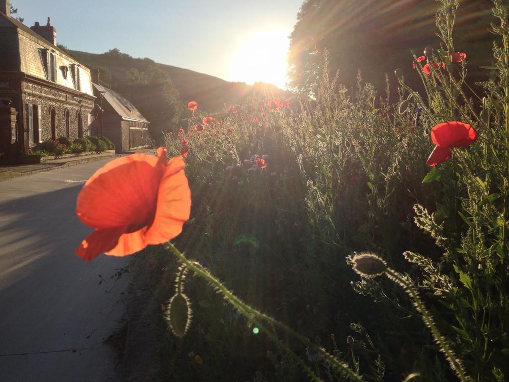 La Flore De Lys, Cottage Ideal Pour 2 Adultes Et 2 Enfants Saint-Jouin-Bruneval Pokój zdjęcie