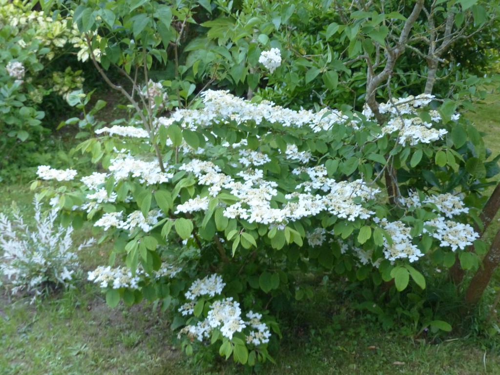 La Flore De Lys, Cottage Ideal Pour 2 Adultes Et 2 Enfants Saint-Jouin-Bruneval Pokój zdjęcie